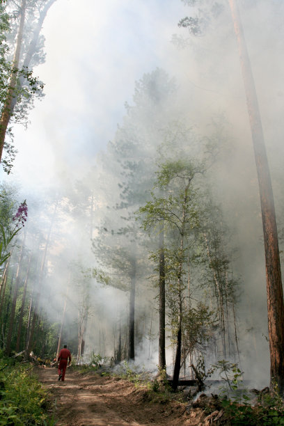 森林火灾图片下载