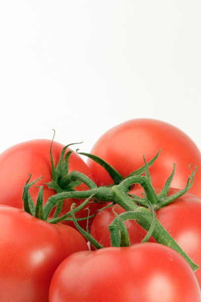 葡萄番茄的图片下载