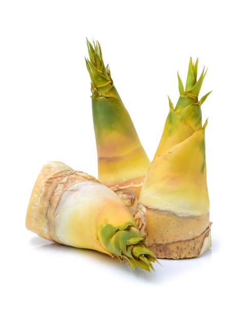 白色背景上的竹笋图片下载