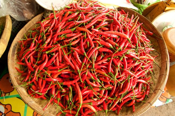 红辣椒，鸟眼辣椒，鸟辣椒，泰国辣椒图片下载