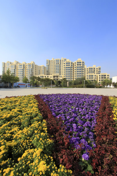 城市广场上的建筑和鲜花图片下载