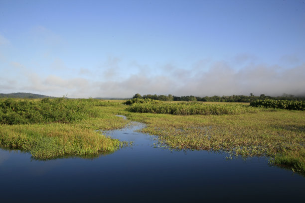 清晨，法国圭亚那的卡瓦鲁拉国家自然保护区图片下载