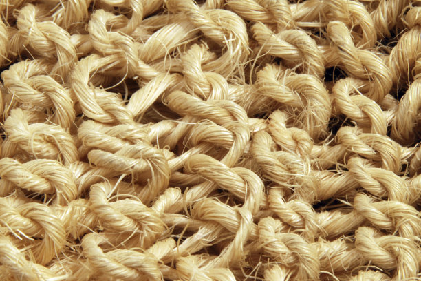 丝瓜手套靠近图片下载