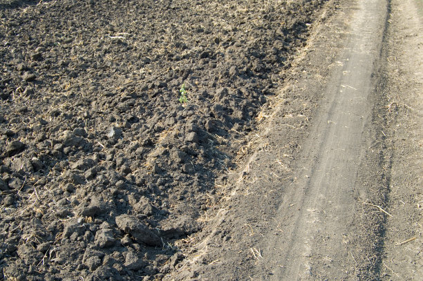 场和行图片下载
