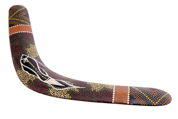 澳大利亚飞镖孤立在白色图片下载