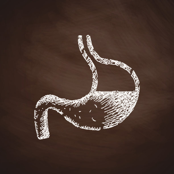 胃图标图片下载