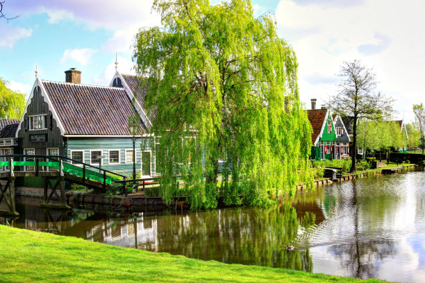 荷兰的赞斯·尚斯图片下载