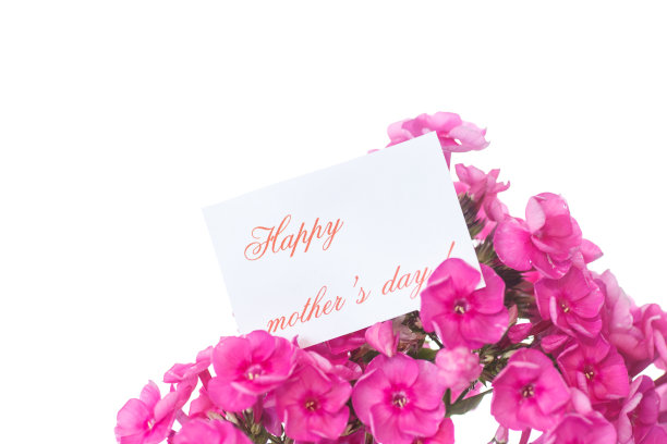 绣球花图片下载