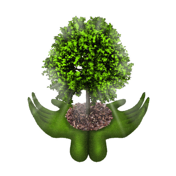 草的手。生态学的概念图片下载