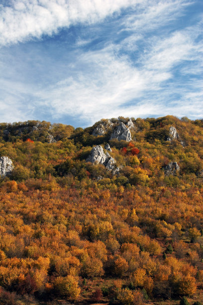 秋天的风景图片下载