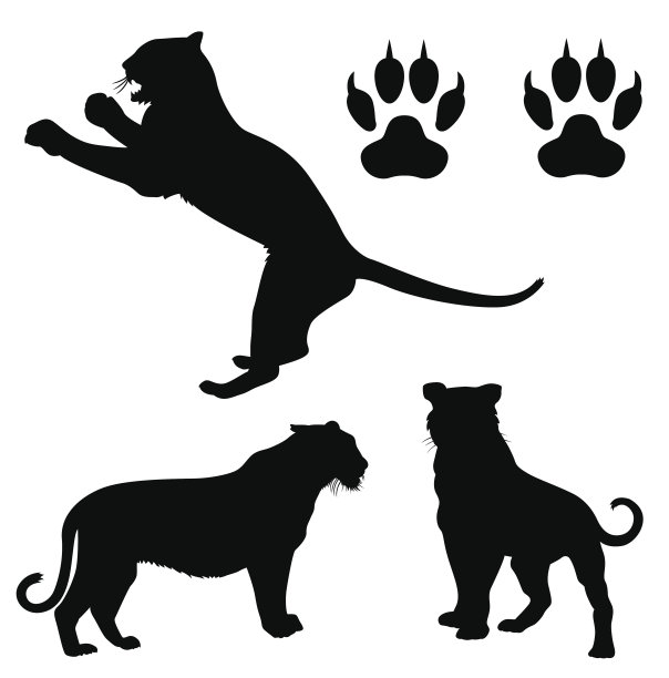 老虎轮廓图片下载