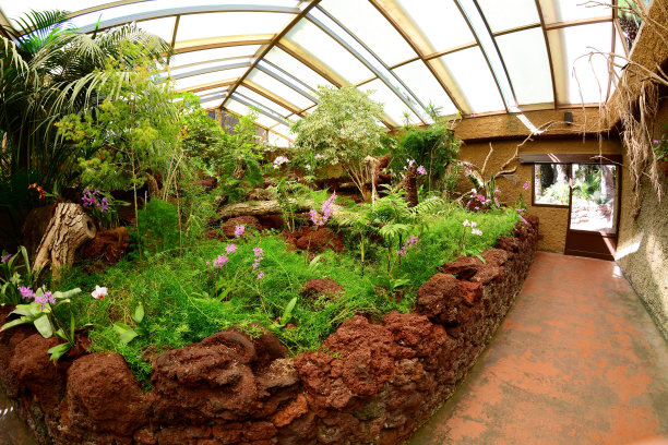 兰花温室图片下载