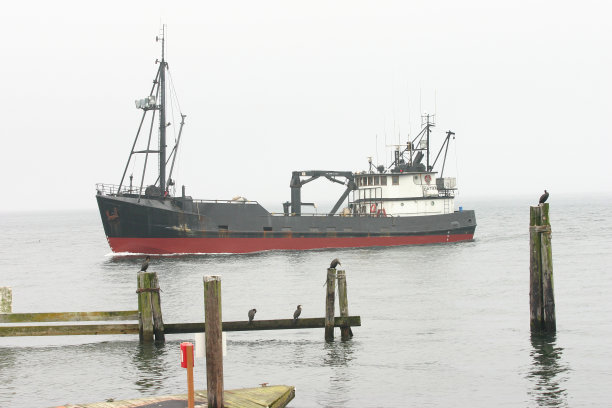 走出迷雾图片下载