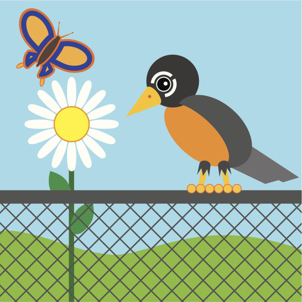 罗宾在栅栏图片下载