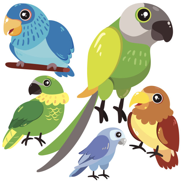 五只鸟在白色的背景上图片下载