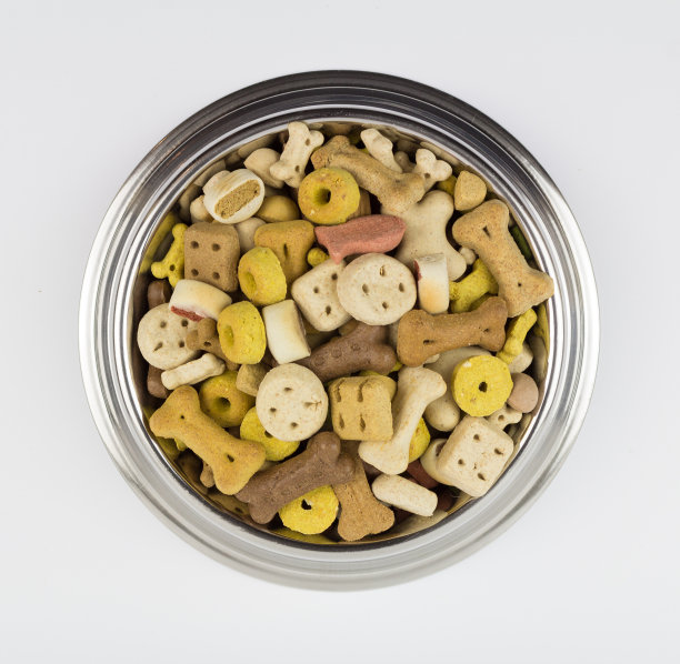 满满一碗狗粮图片下载