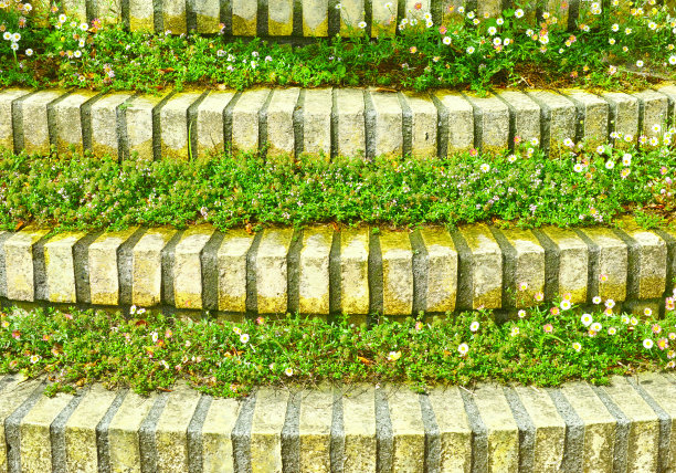 楼梯和鲜花图片下载