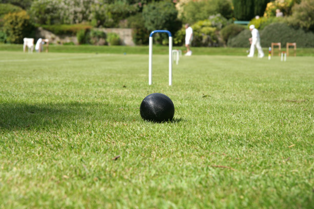 槌球游戏图片下载