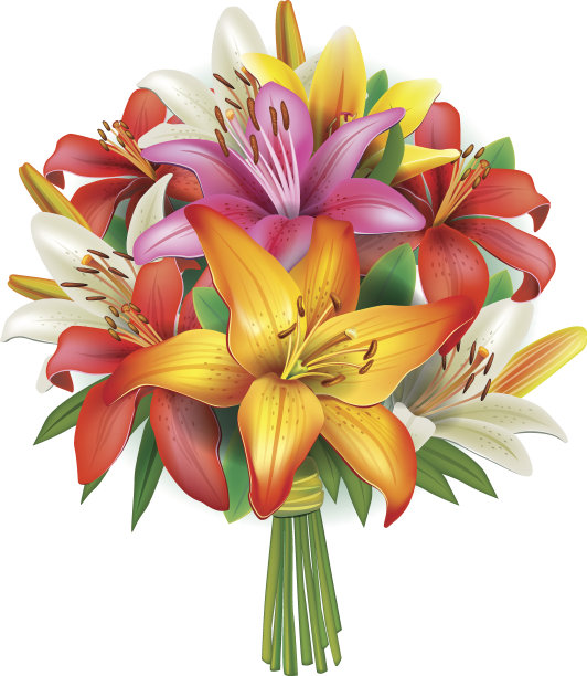 束百合花图片下载