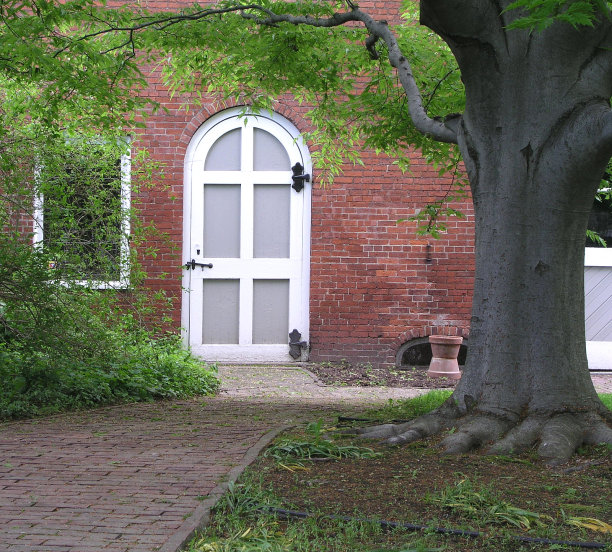 门和树图片下载