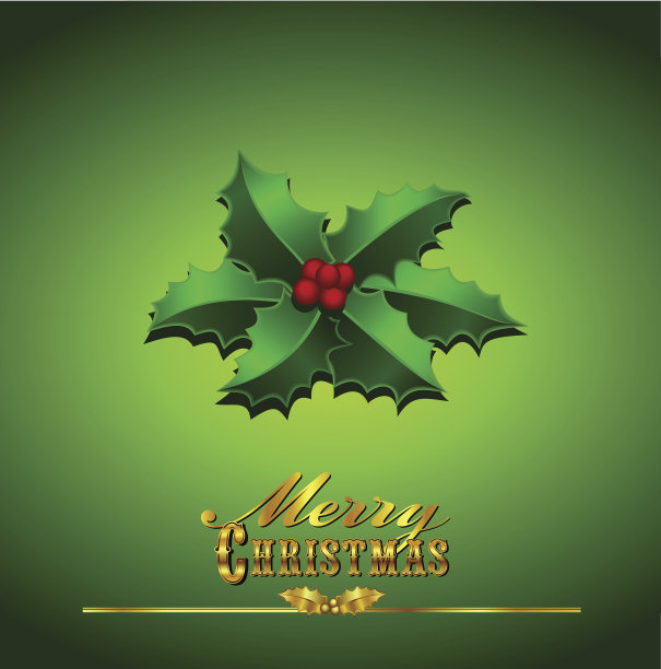圣诞贺卡与冬青在一个绿色的背景图片下载