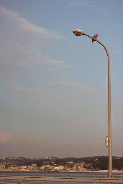 路灯上的风筝图片下载