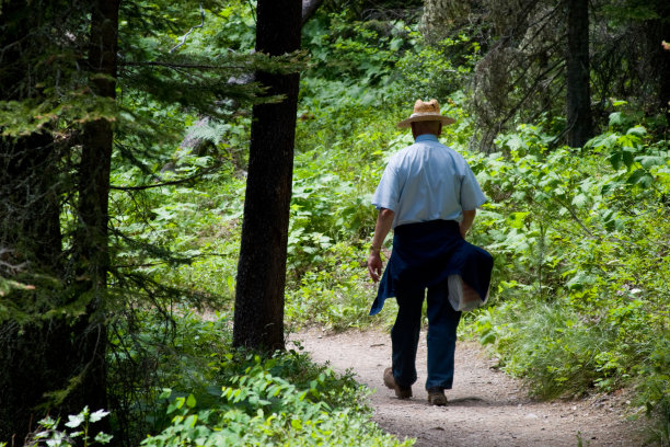 在树林中漫步图片下载