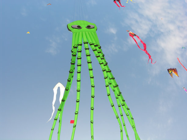 八武器飞行图片下载