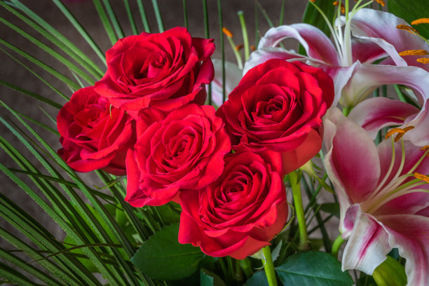 红玫瑰和白百合捧花，特写图片下载