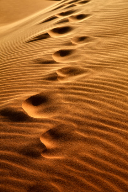 的足迹图片下载