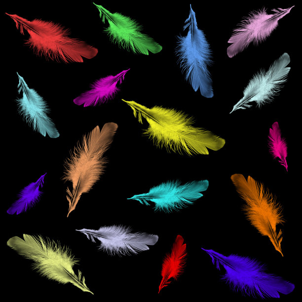 彩色羽毛孤立在黑色背景上图片下载