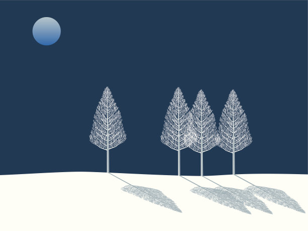 满月的夜晚。冬天的树图片下载