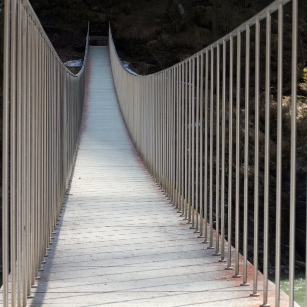 莱茵河上的桥图片下载