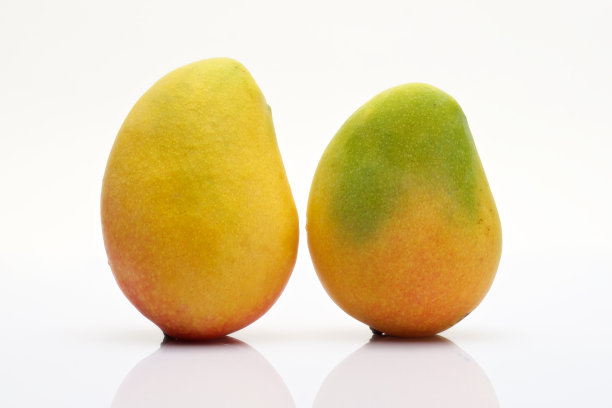 白色背景上的芒果图片下载