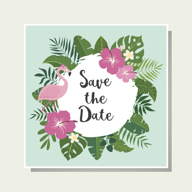 向量热带卡图片下载