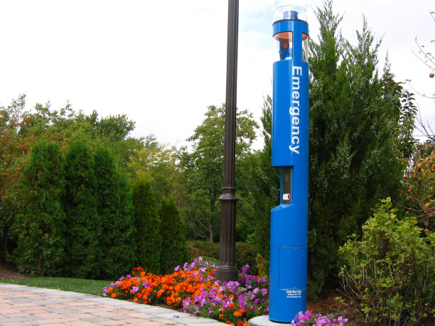 紧急发布2图片下载