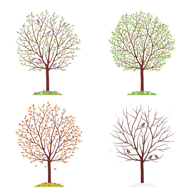 季节。树木在春天、秋天、夏天和冬天。矢量插图。图片下载