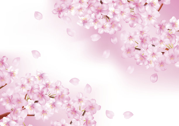 美丽的樱桃树插图图片下载