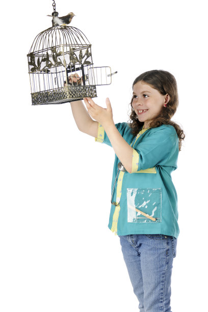 快乐鸟兽医图片下载