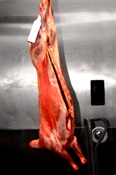 羊的尸体图片下载