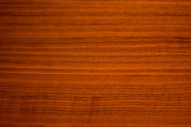 霍尔兹富尼尔图片下载