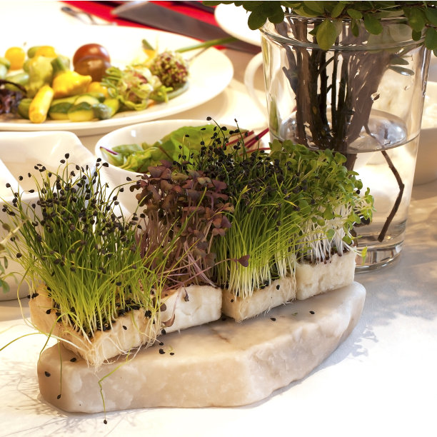 搭配新鲜的西洋菜图片下载