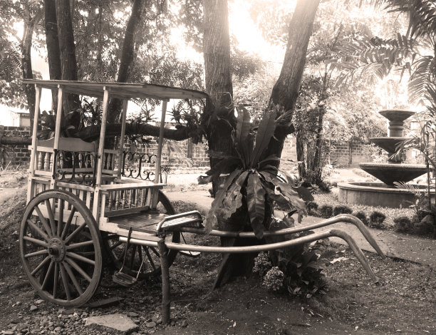 花园里的老式马车卡莱萨图片下载