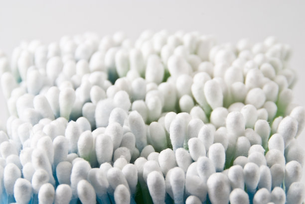 特别芽的图片下载