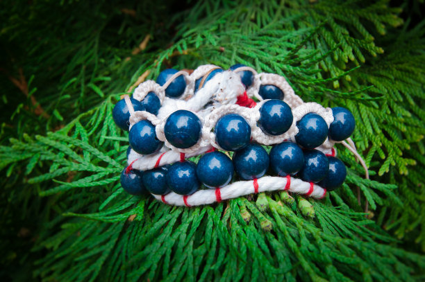 用珠子手镯图片下载