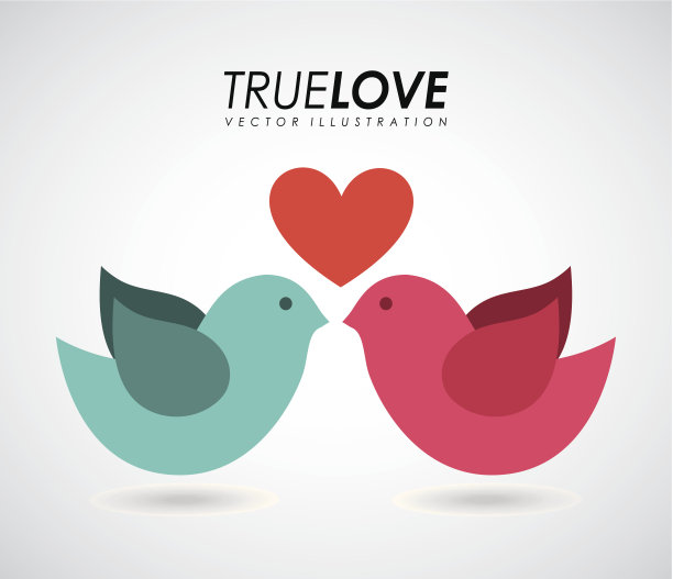 鸟设计图片下载