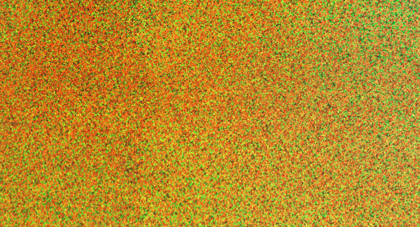 背景闪光和丰富多彩的细节图片下载