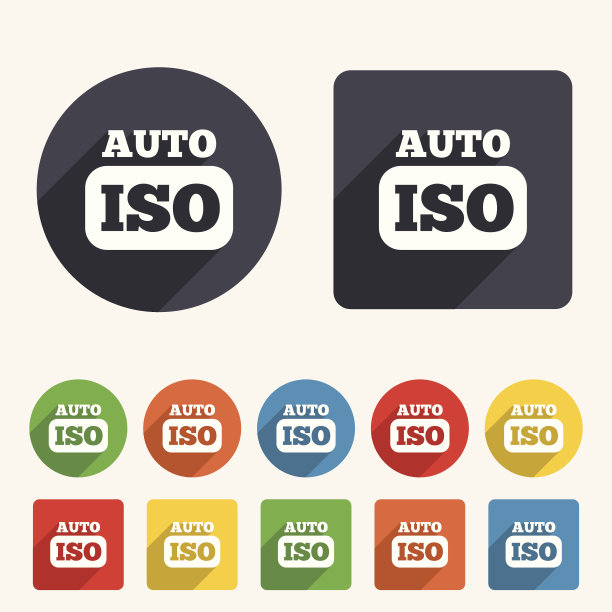 ISO自动拍照相机标志图标。设置标志图片下载