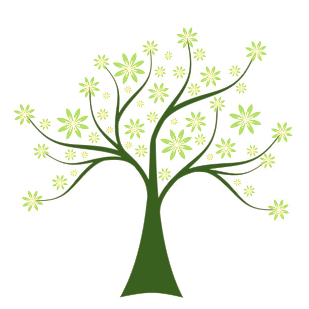 春天的树图片下载