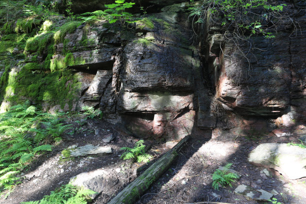 长满青苔的石头墙图片下载